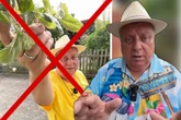 "Ich globe, ich hab&#039; Euch Mist erzählt": Kleingartensheriff gesteht großen Fehler
