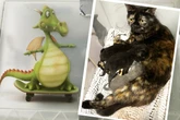 In Kiste mit putzigen Bildern: Katzenmama mit Babys einfach ausgesetzt
