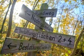 Aufregung am Friedhof: 67-Jähriger versperrt Zufahrt - wegen seines Heißluftballons