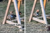 Herrchen nimmt Hunde mit in den Park und kann nicht glauben, was sein Dackel dann macht