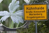 Minusgrade in Sachsen: Frost-Schock mitten im Juli