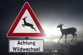 Zwickauer Polizei warnt: Mit der Zeitumstellung kracht's wieder öfter!