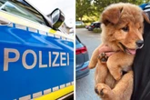 Zuckersüßer Hundewelpe vor Penny geklaut: Happy End für Luna