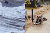 Als Frau Zettel liest, den ausgesetzter Hund dabei hat, bricht ihr endgültig das Herz