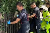 Senior kracht beim Heckeschneiden von Leiter – und steckt in Zaun-Falle fest