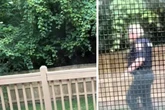 Frau kauft Haus im Wald: Kurz darauf wird klar, dass sie nicht allein ist