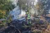 Trockenheit und Hitze: Feld an der A9 steht innerhalb von Minuten in Flammen