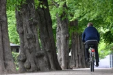 10. Kölner Stadtradeln endet mit einem neuen Rekordergebnis