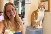 Frau hat gerade Kalenderplanung fertig: Was ihre Katze dann tut, trifft sie unerwartet