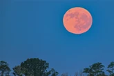 "Erdbeermond" erstrahlt über dem Ländle: Lasst Euch dieses Himmels-Spektakel nicht entgehen