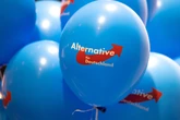 Umfrage-Schock: AfD schiebt sich auf Platz eins