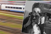 Frau will Hund retten und bezahlt dafür mit ihrem Leben