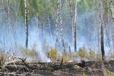 Rauchwolken über Bernau – Feuerwehr kämpft gegen Brand im Naturschutzgebiet
