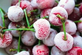 Kirschen richtig einfrieren - So klappt&#039;s mit Frische und Aroma