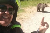 Omar filmte seinen eigenen Tod: Tourist wollte Braunbär füttern