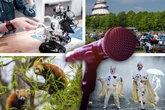 Langeweile am Samstag? Diese Events gehen in Magdeburg