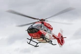 Streit in Hundetagesstätte endet blutig: Pudel beißt Frau einen Finger ab