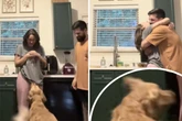Wie Golden Retriever auf die Umarmung seiner Besitzer reagiert, verzückt so viele