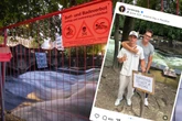 Football-Star Tom Brady an der Eisbachwelle: "Surfing is not a crime"