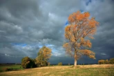 Erster Herbststurm kommt nach Sachsen! Wo es jetzt gefährlich wird