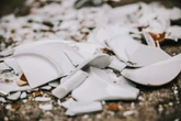 Hat nichts im Altglas verloren: Wo kannst Du Keramik entsorgen?