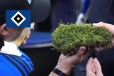 HSV-Rasen wird zum Renner im Netz: "Für Liebhaber und Sammler"