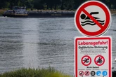 Wird das Baden im Rhein nun auch in Köln verboten? Das sagt die Stadt