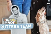 Was dieser Hund macht, wenn er sich unbeobachtet fühlt, lässt Martin Rütter laut auflachen