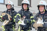 Samtpfoten in Not: Pelzige Überraschung bei Feuerwehreinsatz
