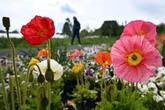 Ungemütlicher Wochenstart in NRW: Dann wird das Wetter wieder freundlicher
