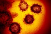 "Frankenstein-Variante": Neue Corona-Mutation macht sich breit