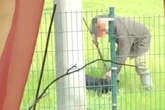 Besitzer schaut tatenlos zu: Jagdhund beißt Katze tot