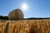 Bis zu 35 Grad erwartet: NRW startet heiß in die neue Woche