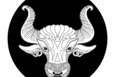 Wochenhoroskop Stier: So wird die nächste Woche vom 18.5. bis 24.5.2026