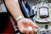 Blutvorräte schrumpfen wegen Hitze: Müssen Operationen verschoben werden?