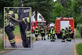 Schlangen-Alarm! Meterlange Ringelnatter kriecht in Ostsachsen durch Küche