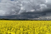 Dramatischer Wetterumschwung in Sachsen: Heute wird&#039;s ungemütlich!
