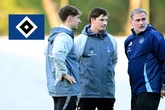 Saisonprognose für den HSV: Rothosen müssen bis zur letzten Sekunde zittern