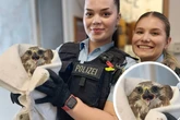 Tierischer Notfall im Bahnhof: Polizistinnen machen tragische Entdeckung auf den Gleisen