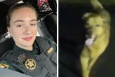 Frau stürzt beim Spaziergang mit Hund, was der Vierbeiner danach tut, sorgt für Begeisterung