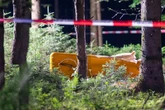 Flugzeug stürzt in norddeutschem Wald ab, Tote Person galt bereits als vermisst