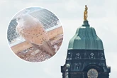 Falken brüten nicht: Beliebter Rathausturm darf wieder bestiegen werden