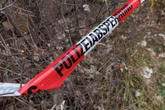Traurige Gewissheit: Vermisster aus Freiberg tot in Wald gefunden