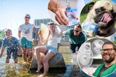 40 heiße Fragen zu 40 Grad Superhitze in Chemnitz