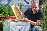 Imker bitten um Hitzehilfe für ihre Bienen