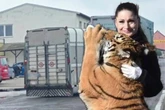 Nachdem ihr sechs Tiere weggenommen wurden: Will die "Tiger Queen" jetzt Sachsen verlassen?