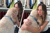 Hund bittet Frauchen um Kuscheleinheit, nur um sie dann völlig aus der Bahn zu werfen