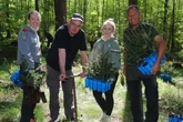 3000 Weißtannen gegen bissige Waldtiere