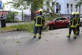 Herbststurm fegt über Leipzig hinweg: Feuerwehr im Dauereinsatz