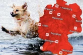 Bis zu 37 Grad! Hitzewelle rollt auf Deutschland zu - doch die bleibt nicht lange
